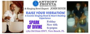RAISE Your Vibrations: Singing Bowl & Reiki Heart Healing Experience @ Spark of Divine, LLC | Vero Beach | FL | United States